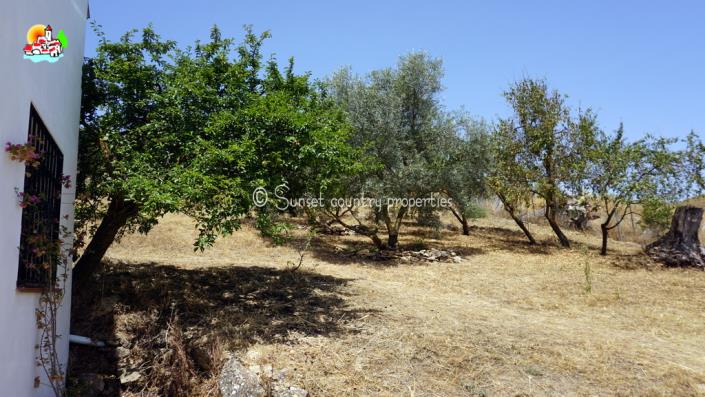 Image No.25-Propriété de pays de 2 chambres à vendre à Loja