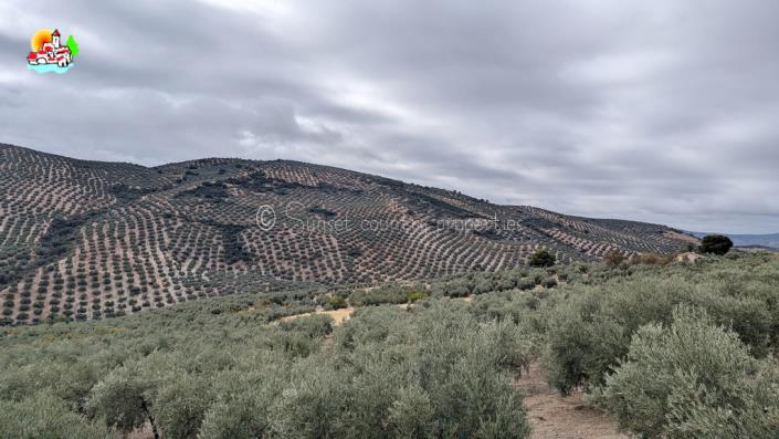 Image No.6-5 Bed Country Property for sale