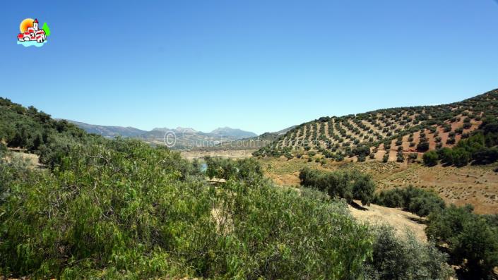 Image No.43-4 Bed Country Property for sale