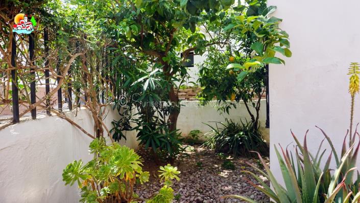 Image No.6-3 Bed Townhouse for sale