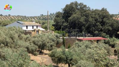 Sunset Country Properties S.L. most sold property
