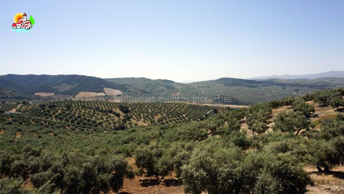 Image No.32-4 Bed Country Property for sale