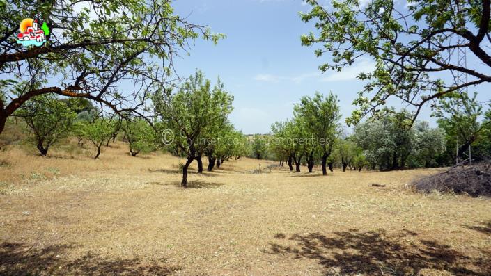 Image No.60-Propriété de pays de 4 chambres à vendre à Fuente Camacho
