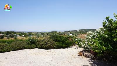 Sunset Country Properties S.L. most sold property