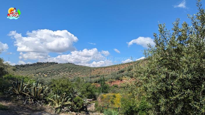 Image No.6-3 Bed Country Property for sale