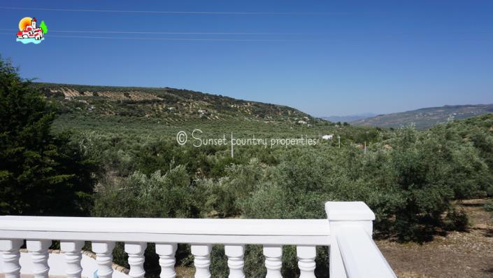 Image No.25-5 Bed Country House for sale