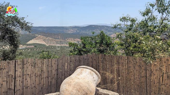 Image No.58-5 Bed Country House for sale