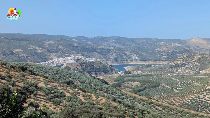 Image No.45-6 Bed Country Property for sale