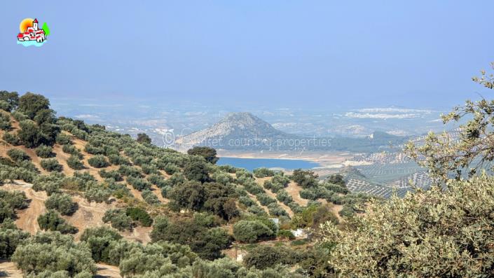 Image No.6-3 Bed Country Property for sale