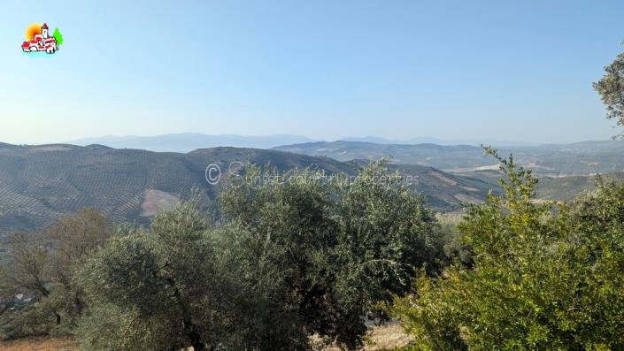 Image No.16-3 Bed Country Property for sale