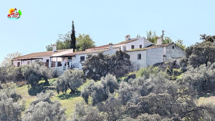 Image No.3-5 Bed Country Property for sale