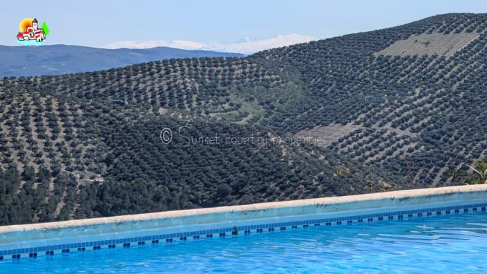 Image No.50-5 Bed Country Property for sale