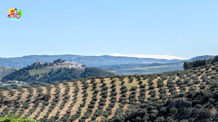 Image No.53-5 Bed Country Property for sale