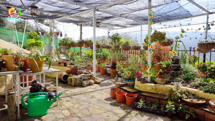 Image No.7-3 Bed Cortijo for sale