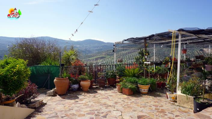 Image No.9-3 Bed Cortijo for sale