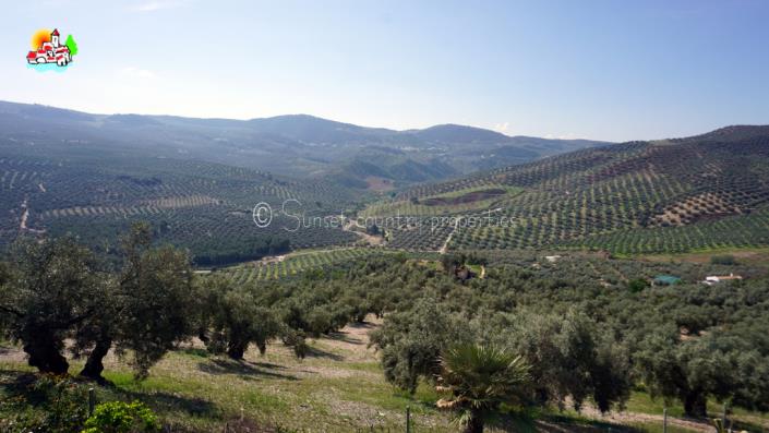 Image No.39-3 Bed Cortijo for sale