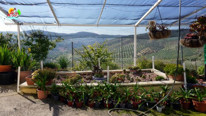 Image No.43-3 Bed Cortijo for sale