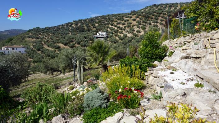 Image No.44-3 Bed Cortijo for sale