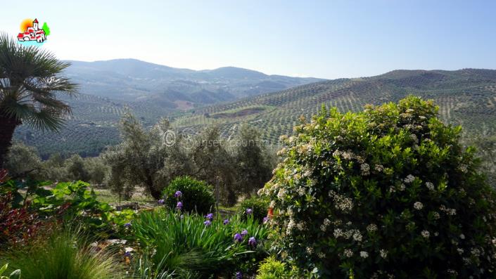 Image No.45-3 Bed Cortijo for sale