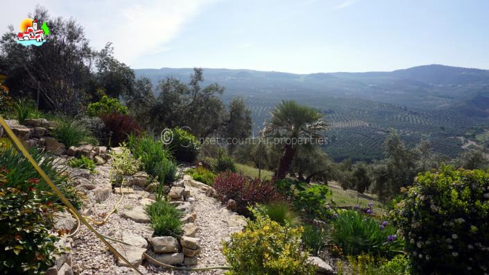 Image No.46-3 Bed Cortijo for sale