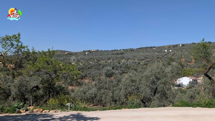 Image No.5-Bungalow de 3 chambres à vendre à Loja