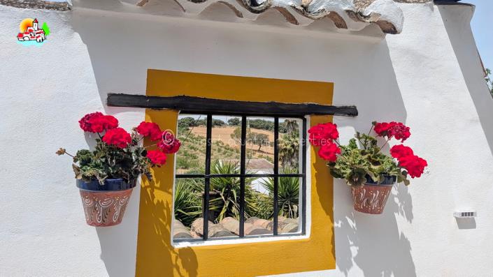 Image No.25-6 Bed Country Property for sale