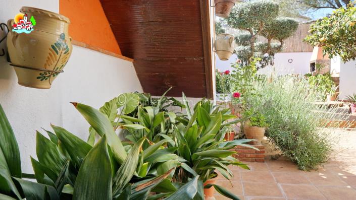 Image No.43-3 Bed Village House for sale