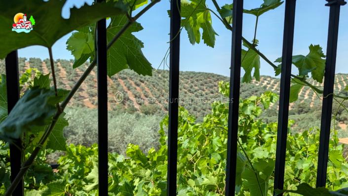 Image No.37-3 Bed Cortijo for sale
