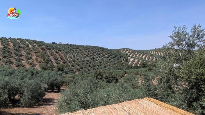Image No.52-3 Bed Cortijo for sale