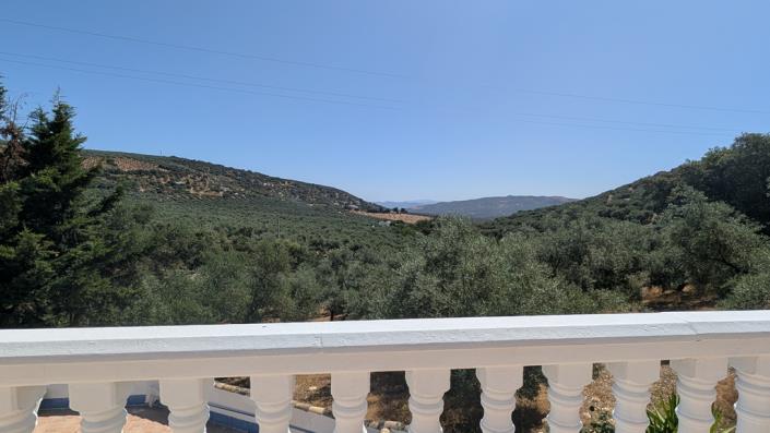 Image No.23-5 Bed Country House for sale