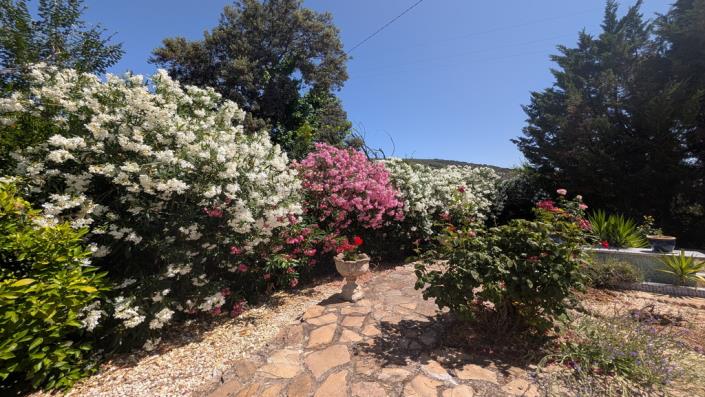Image No.28-5 Bed Country House for sale
