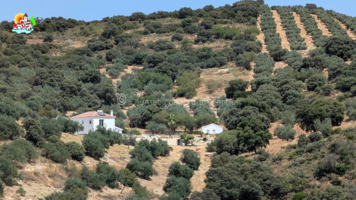 Image No.6-4 Bed Country Property for sale