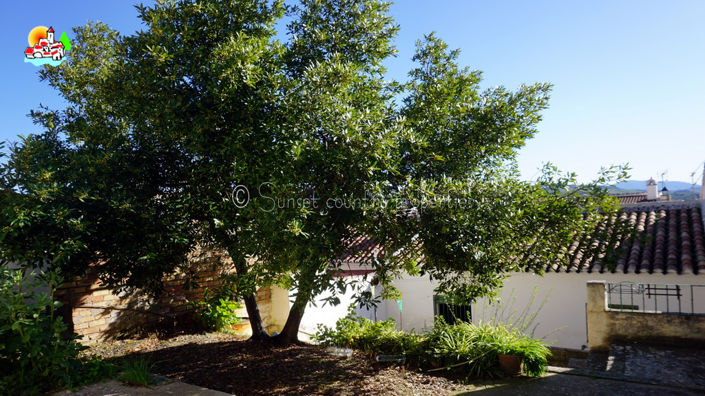 Image No.17-4 Bed Townhouse for sale