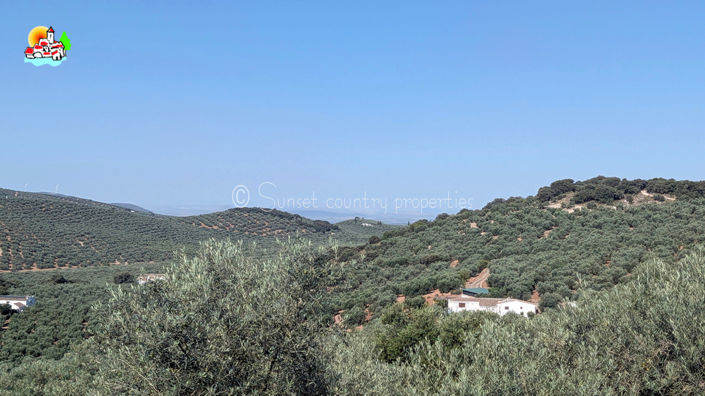 Image No.50-4 Bed Property for sale
