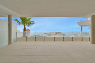 Screenshot-2024-08-13-125137