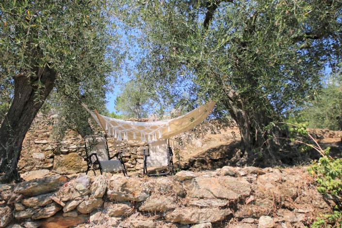 Image No.11-8 Bed Country House for sale