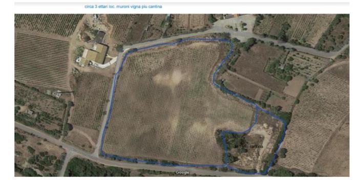 Image No.4-Vineyard for sale