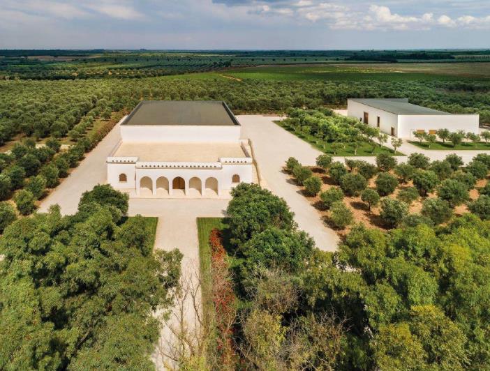 Image No.2-Vignoble de 20 chambres à vendre à Brindisi