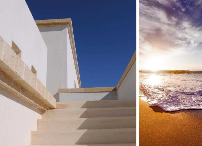 Image No.5-Vignoble de 20 chambres à vendre à Brindisi