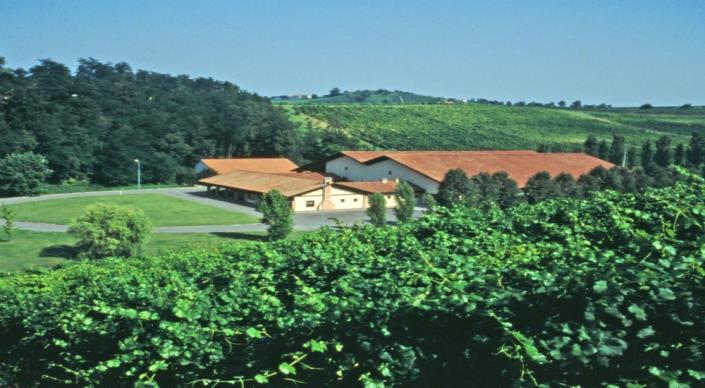 Image No.2-20 Bed Vineyard for sale