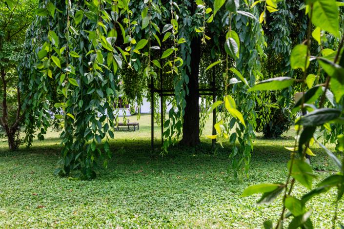 Image No.50-Manoir de 5 chambres à vendre à Palmanova