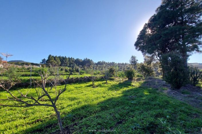 Image No.22-2 Bed Villa for sale