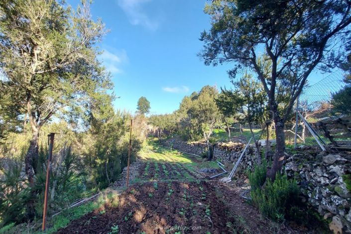 Image No.27-2 Bed Villa for sale