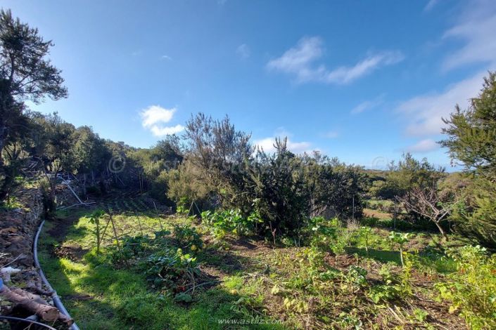 Image No.27-2 Bed Country House for sale