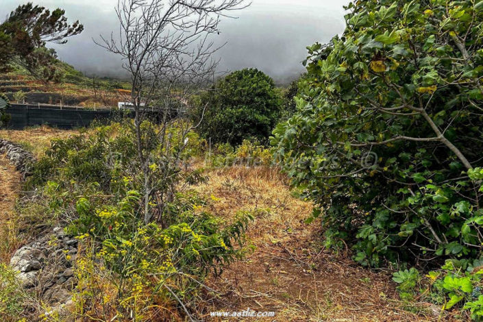 Image No.3-Land for sale