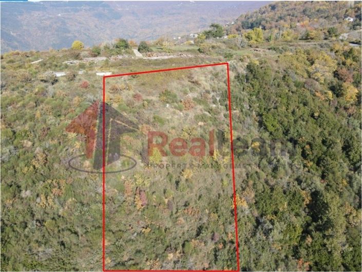 Image No.3-Property for sale