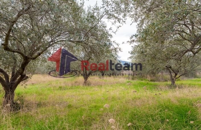 Image No.11-Plot for sale