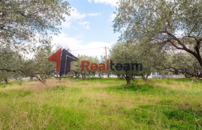 Image No.12-Plot for sale