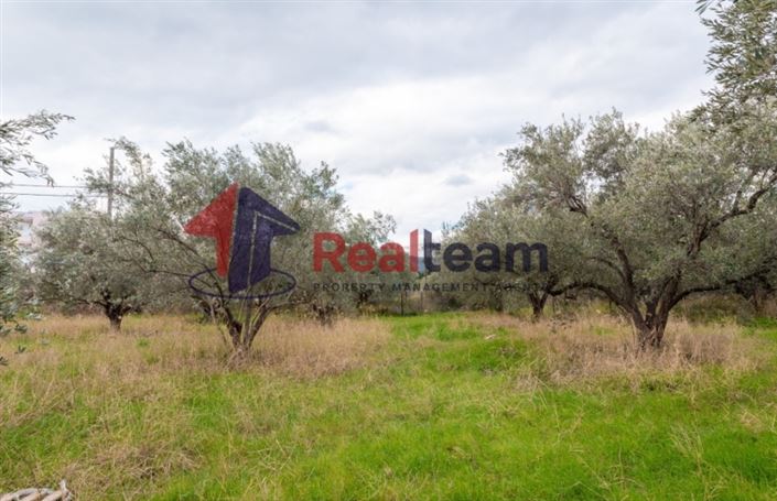 Image No.13-Plot for sale