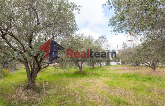 Image No.14-Plot for sale